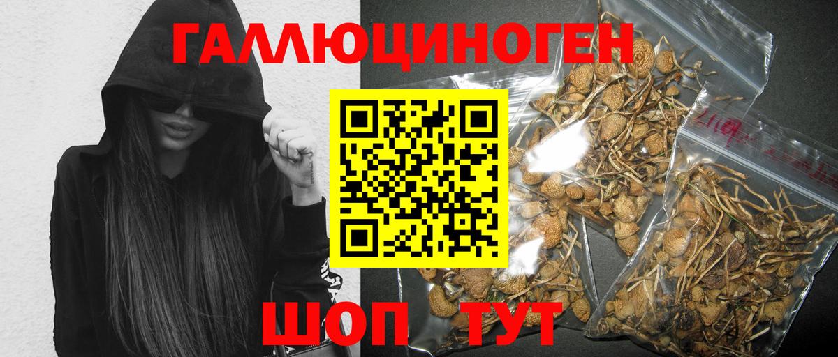 Псилоцибиновые грибы GOLDEN TEACHER Тавда