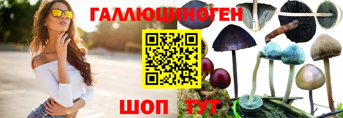 Тавда  Галлюциногенные грибы прущие грибы  Вход с VPN 