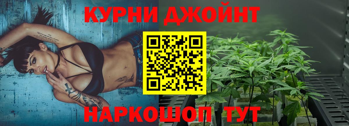 Каннабис семена  Вход с VPN  Тавда  Канабис план  Канабис OG Kush 